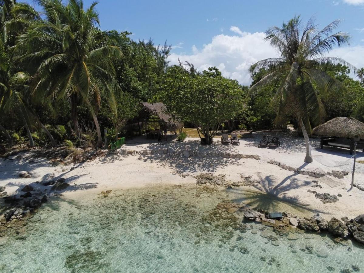 Le Coconut Lodge Avatoru Eksteriør bilde