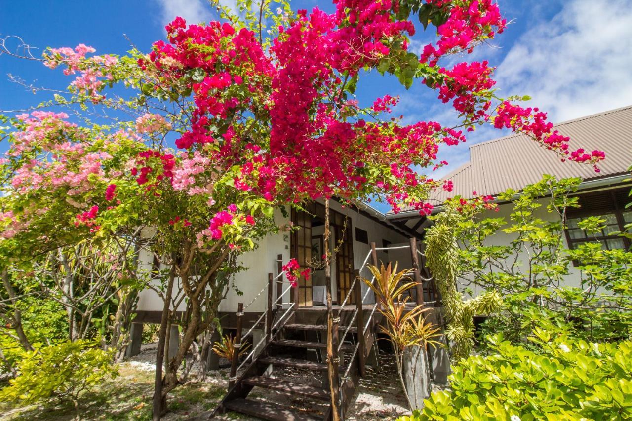 Le Coconut Lodge Avatoru Eksteriør bilde